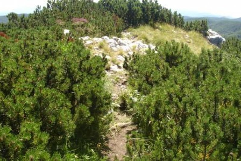 Nationalpark Risnjak 21